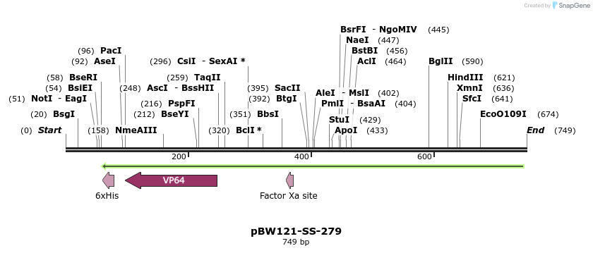 125378_map