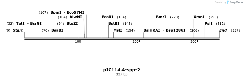 12538_map