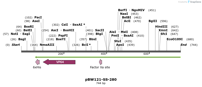 125384_map