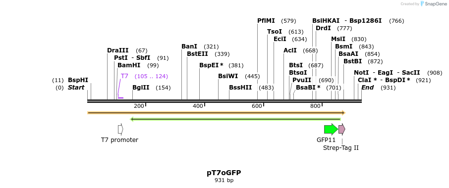 125388_map
