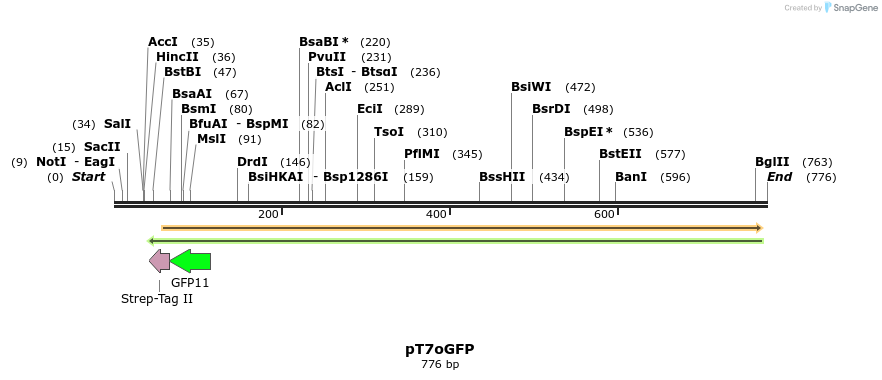 125389_map