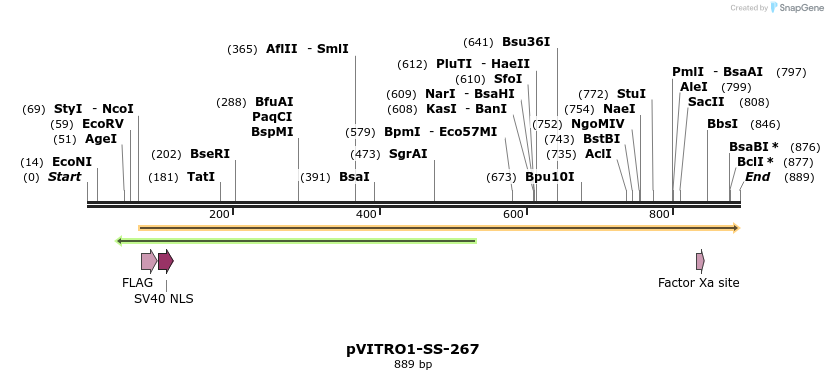 125391_map