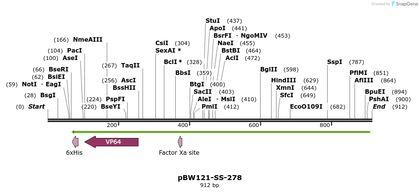 125394_map