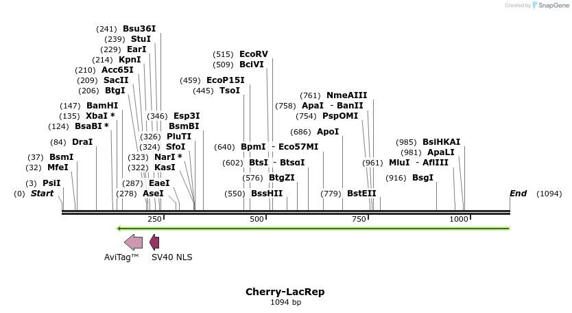 125395_map