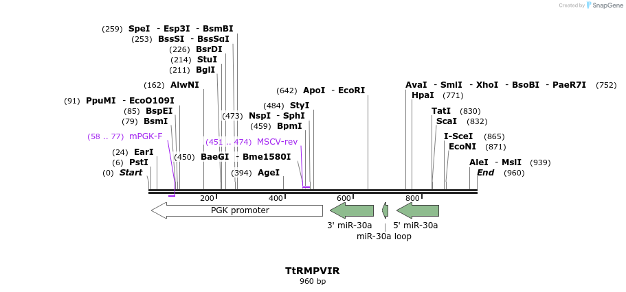 125403_map