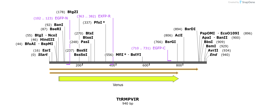 125406_map