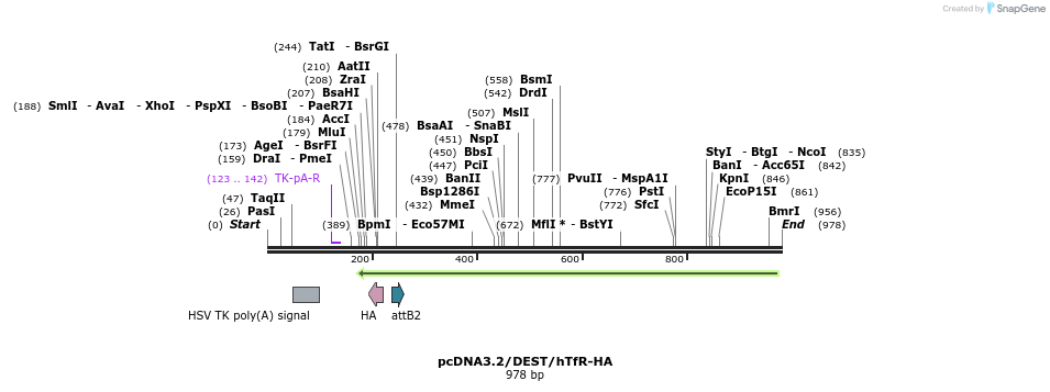 125412_map