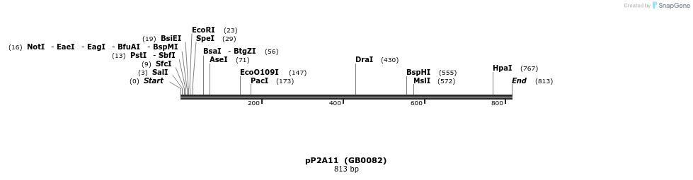 125415_map