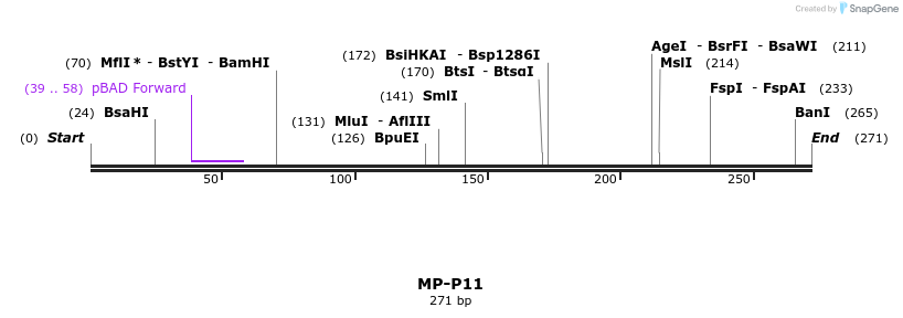 125418_map