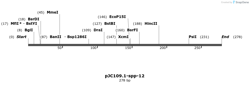 12542_map