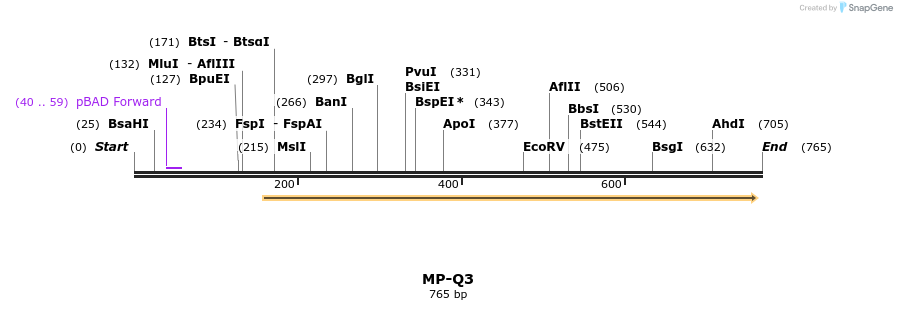 125422_map