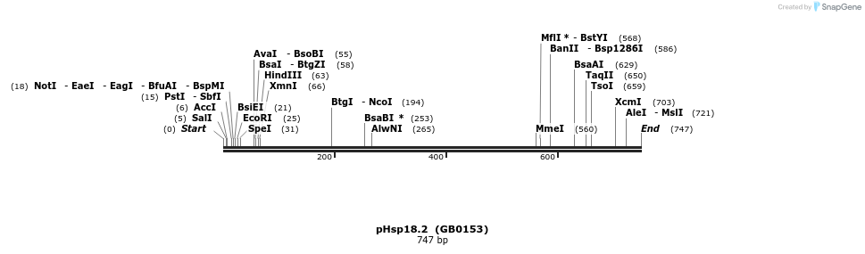 125423_map