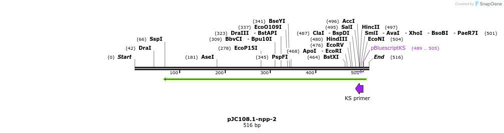 12543_map