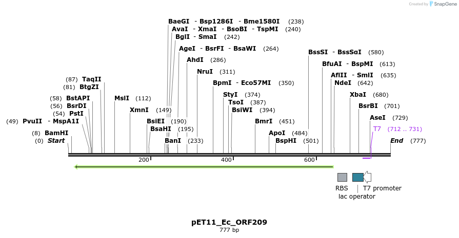 125432_map