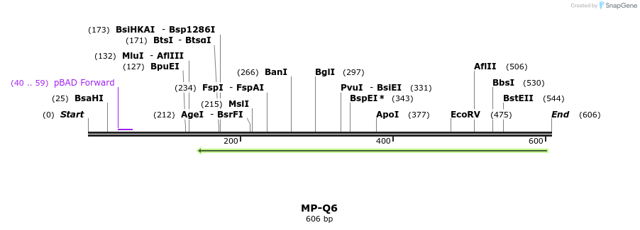 125433_map