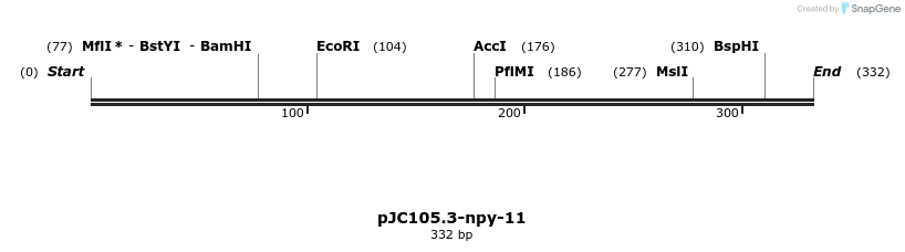 12544_map