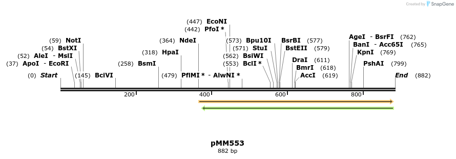 125446_map
