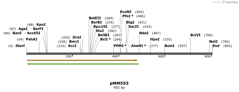 125452_map