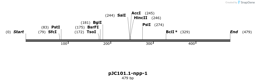 12546_map