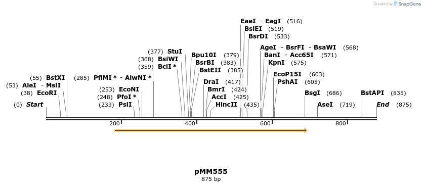 125467_map