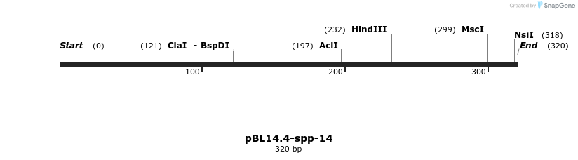 12548_map