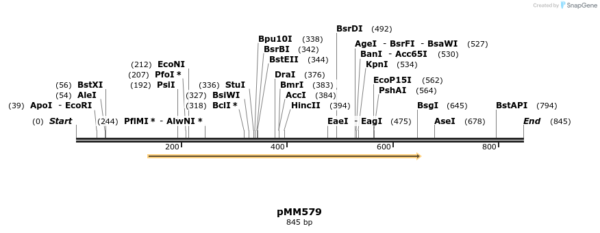 125481_map