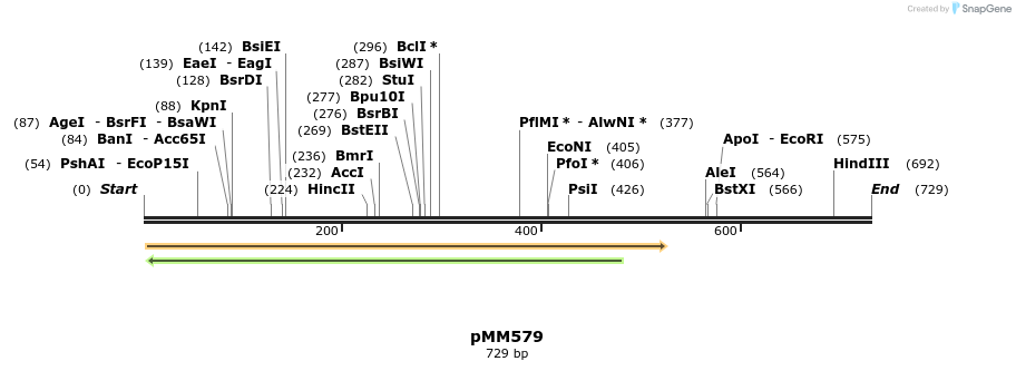 125482_map