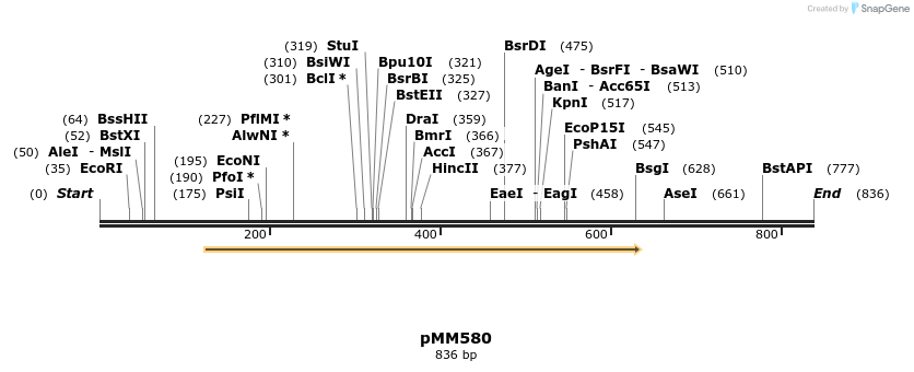 125483_map