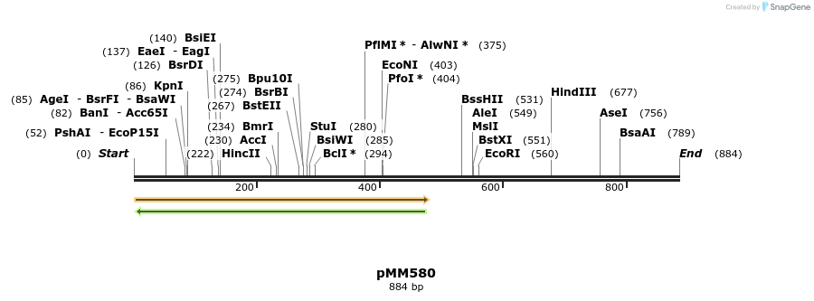 125484_map