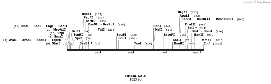 125489_map