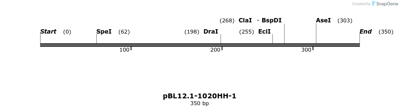 12549_map