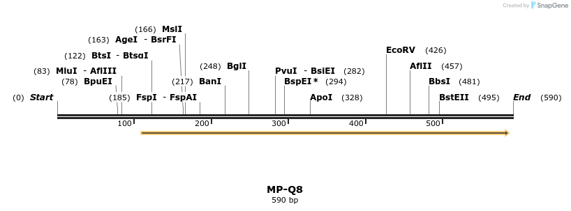 125491_map