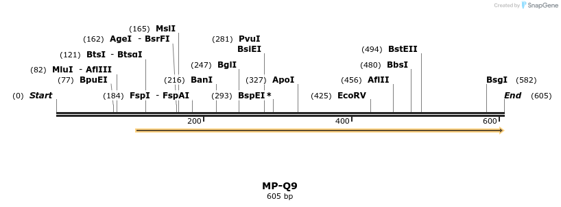 125492_map