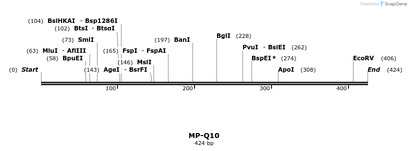 125493_map