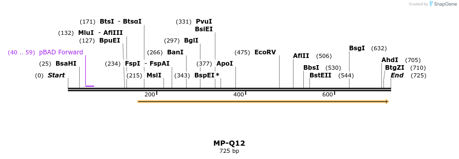 125495_map