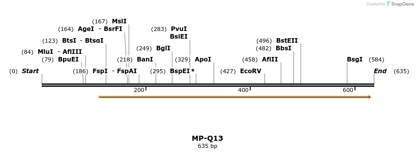 125496_map