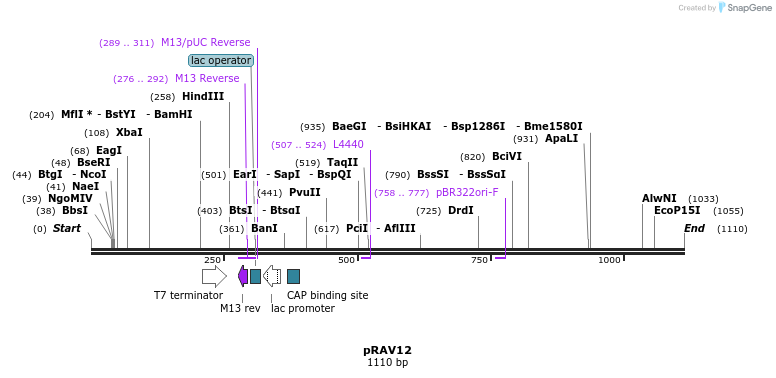 125497_map