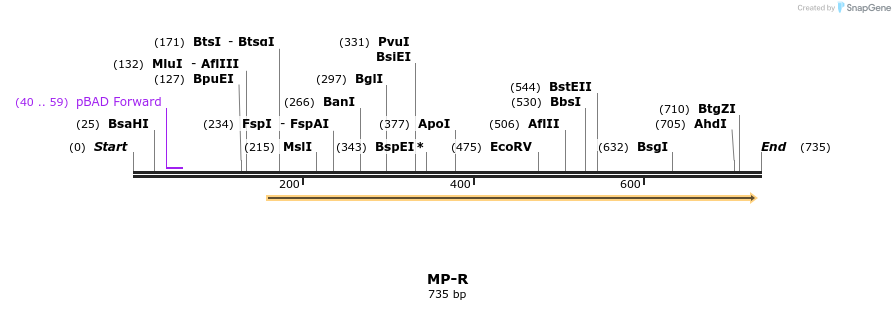 125498_map
