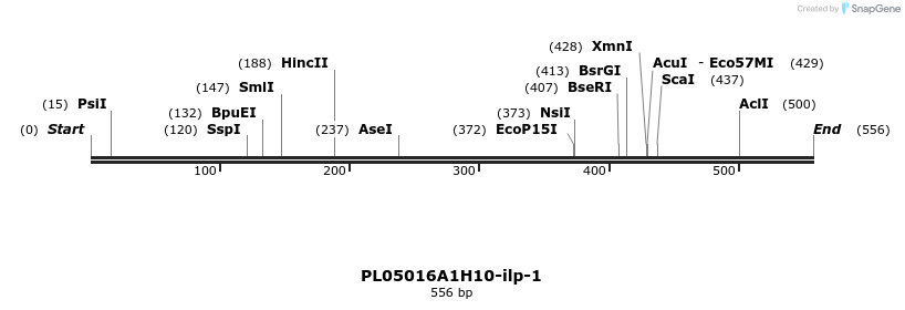 12550_map