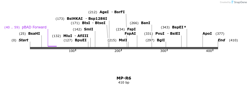 125502_map