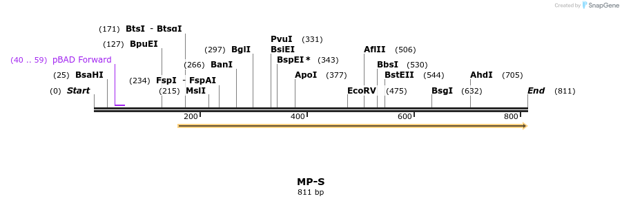 125503_map