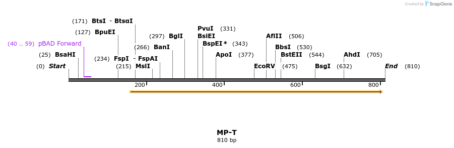 125506_map