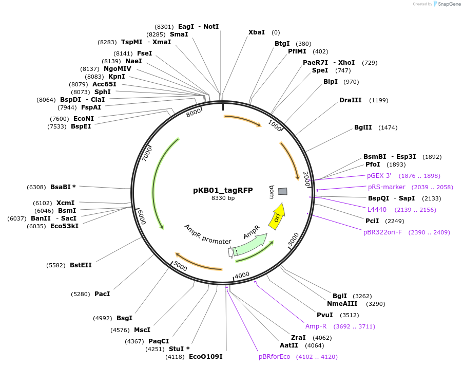 125507_map