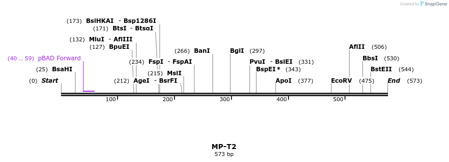 125510_map