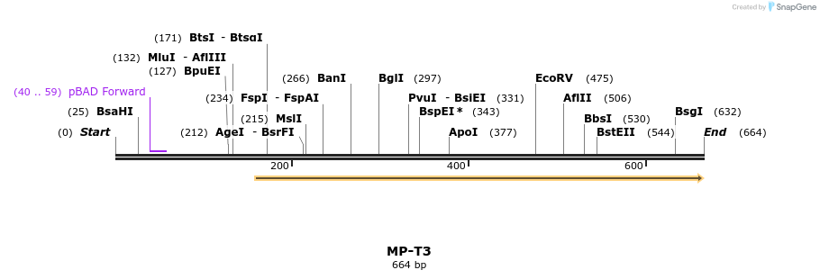 125511_map