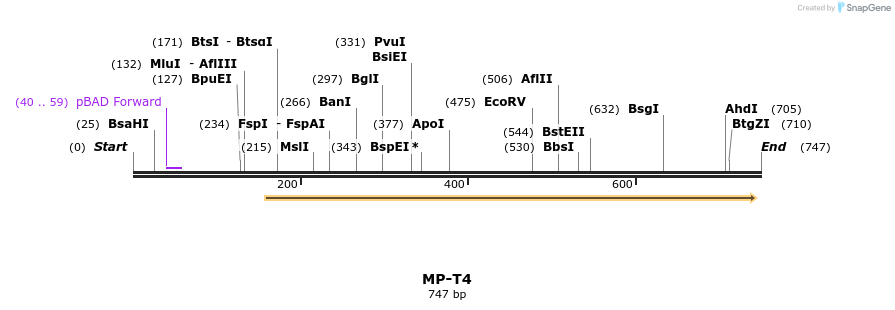 125512_map