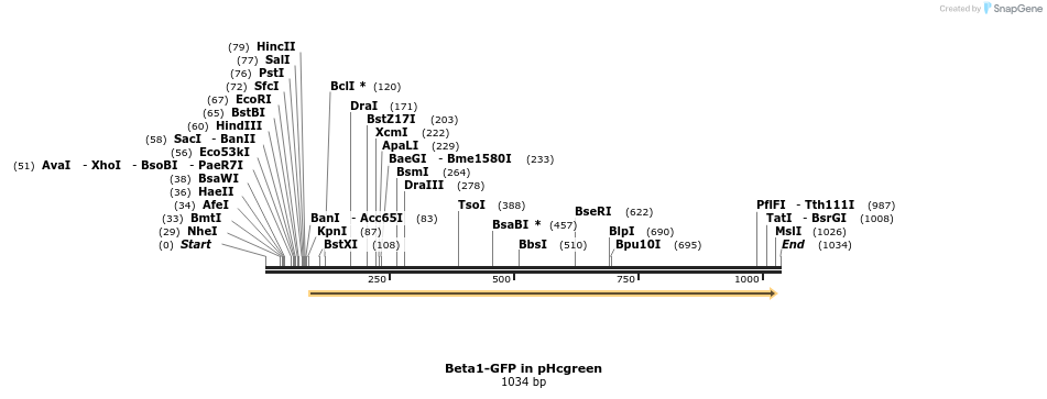 125518_map