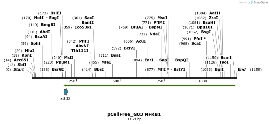 125524_map