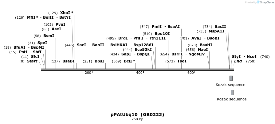 125538_map