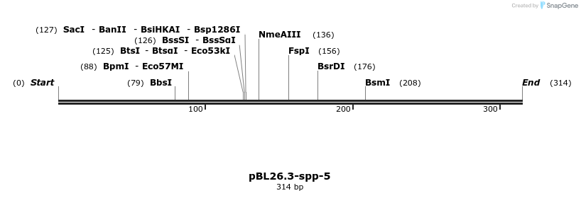 12554_map